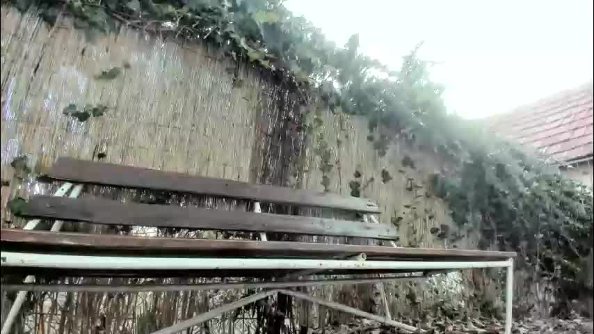 tymika Cam Model Chat March 2, 2026