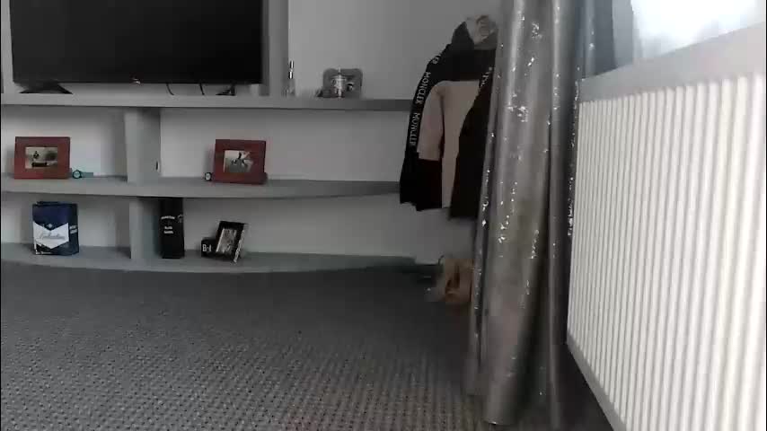 crazybrenda89 Cam Model Chat March 2, 2026