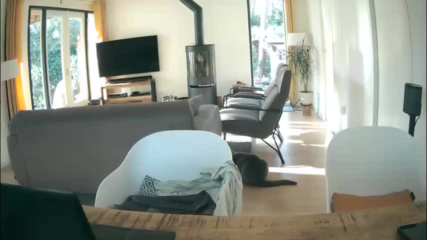 woodwurm Cam Model Chat March 2, 2026