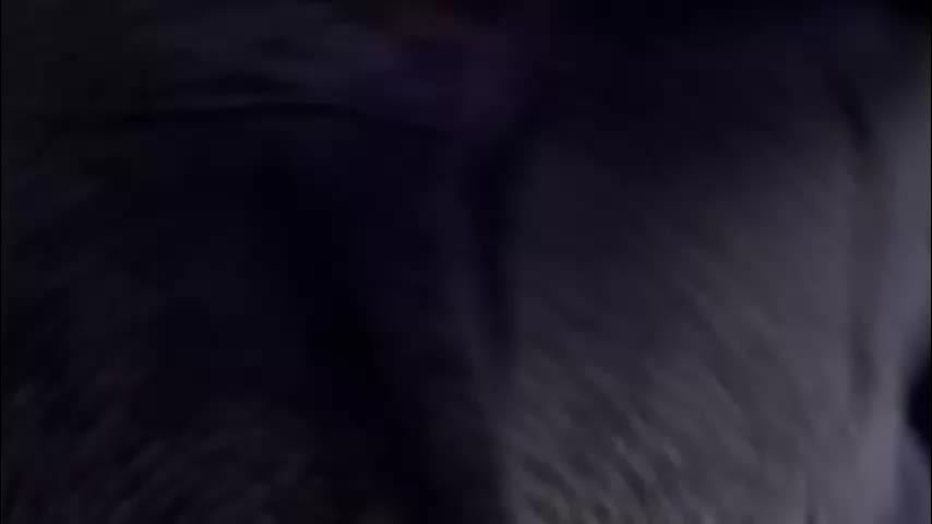 dragonhotcouple Cam Model Chat March 3, 2026