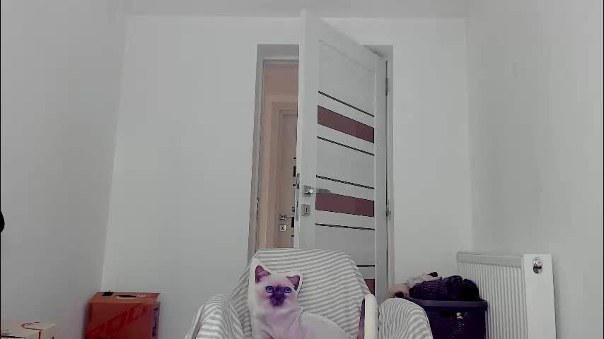 you_love_melisa Cam Model Chat March 4, 2026