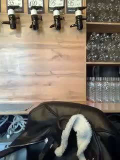 Yummypopka Cam Model Chat March 5, 2026