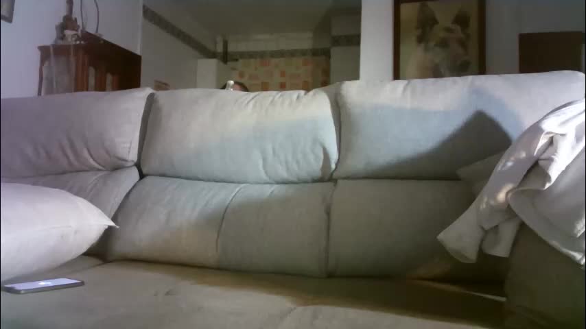 lolahueso Cam Model Chat March 8, 2026