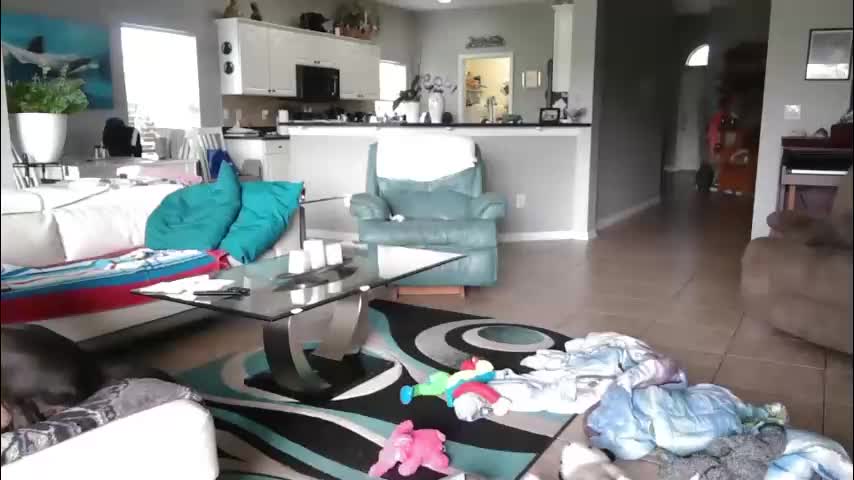 smallpenisbigtongue Cam Model Chat March 8, 2026