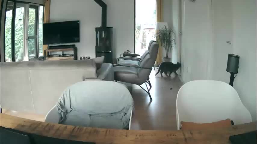 woodwurm Cam Model Chat March 10, 2026