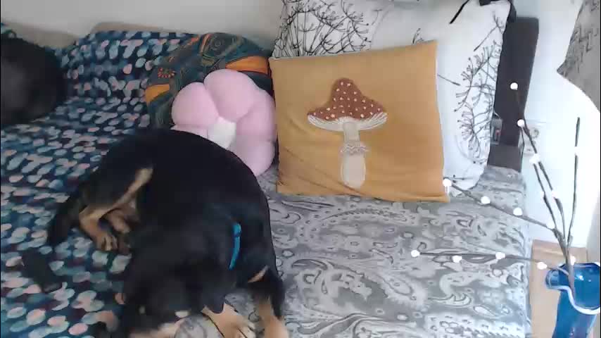 aliens4twenty Cam Model Chat March 10, 2026