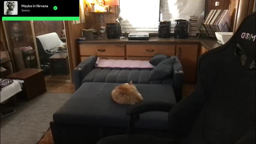 incognitoqueen Cam Model Chat March 10, 2026