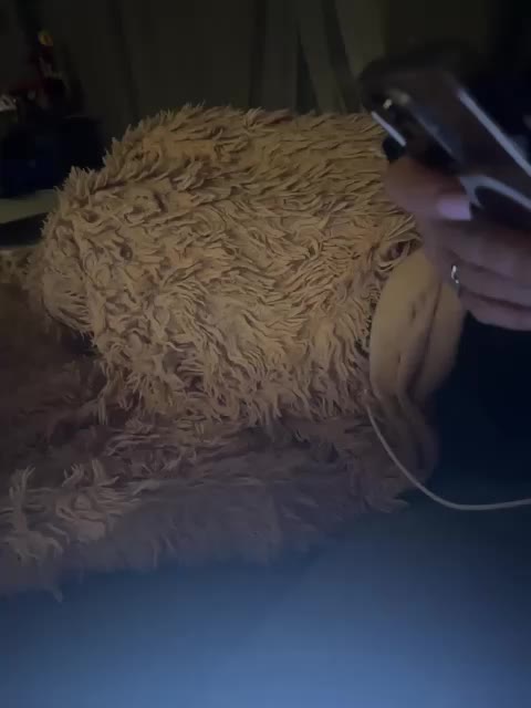 ParraTigroff Cam Model Chat March 11, 2026