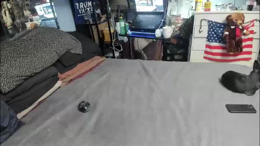 pink_black Cam Model Chat March 11, 2026