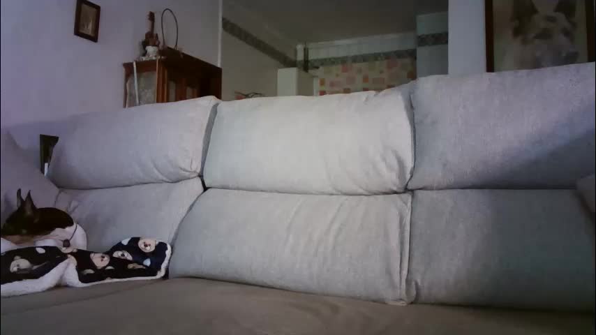 lolahueso Cam Model Chat March 12, 2026