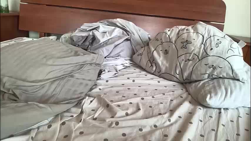 sweetieskitties Cam Model Chat March 13, 2026