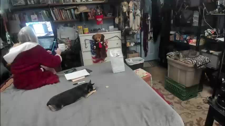 pink_black Cam Model Chat March 14, 2026