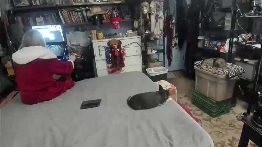 pink_black Cam Model Chat March 14, 2026