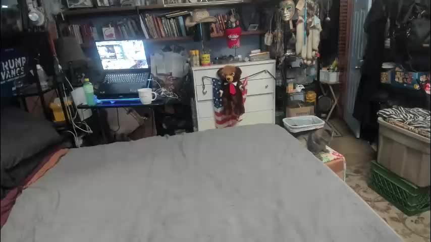 pink_black Cam Model Chat March 14, 2026