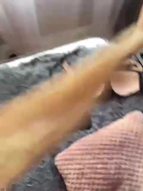 SEXPantera Cam Model Chat March 18, 2026