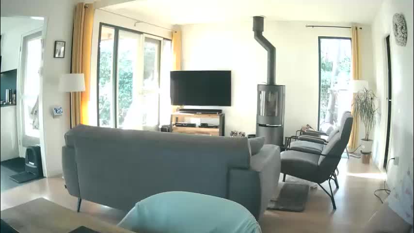 woodwurm Cam Model Chat March 18, 2026