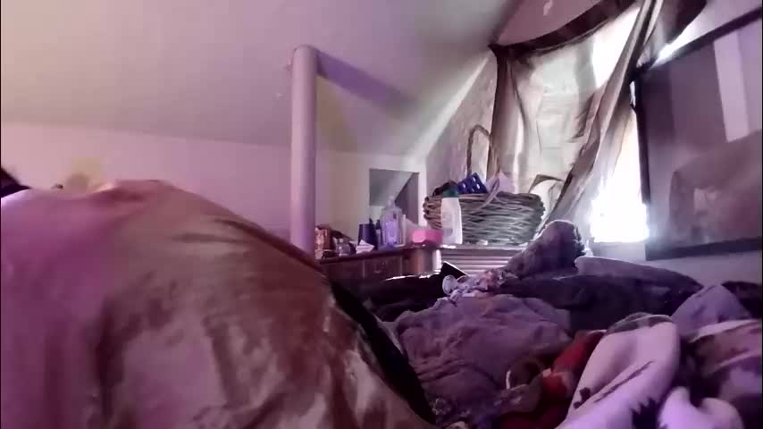 bigkitties69 Cam Model Chat March 18, 2026