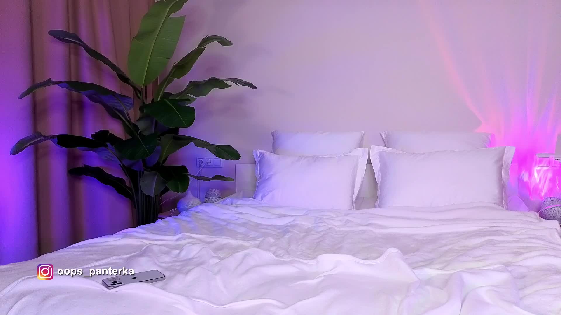 Amyleeplayss Cam Model Chat March 19, 2026