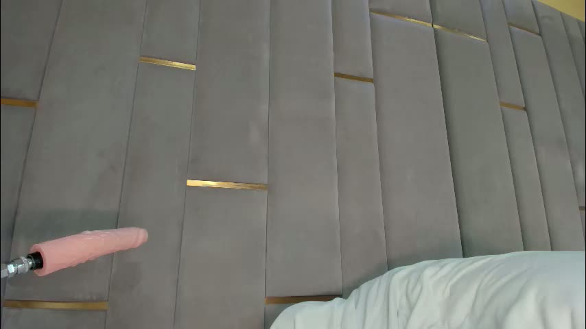 evalims Cam Model Chat March 19, 2026