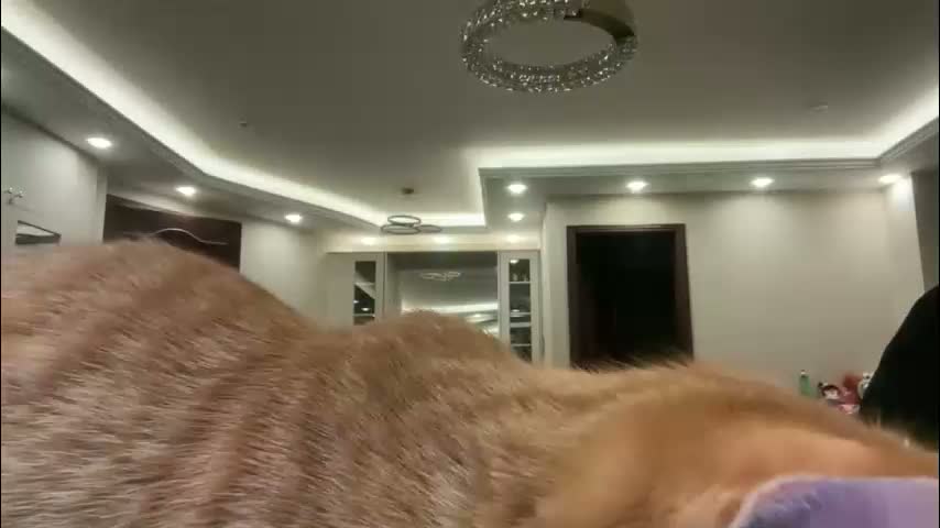 therealcamilabaddie Cam Model Chat March 19, 2026