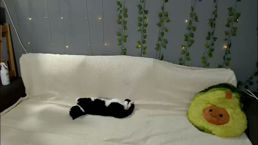 leo_and_lori Cam Model Chat March 20, 2026