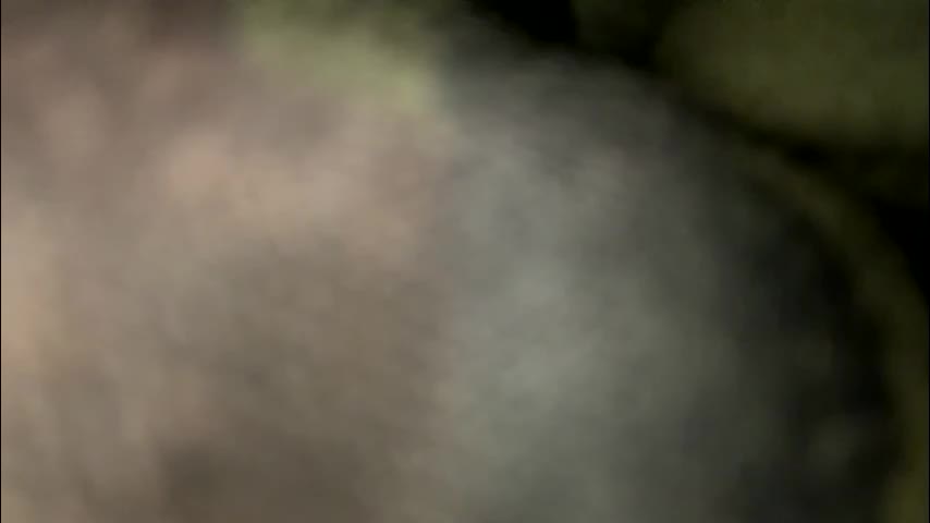 sweetnsexy95 Cam Model Chat March 21, 2026