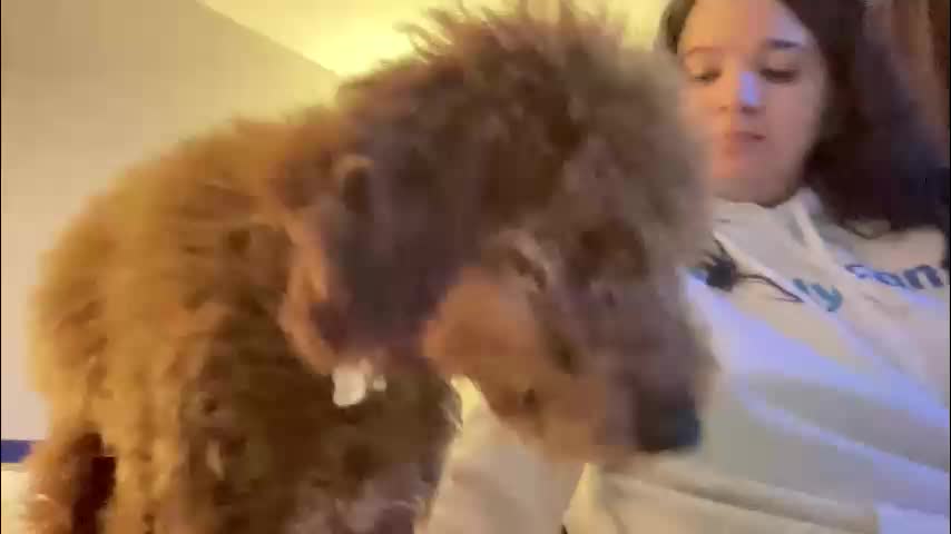 soyoceanne Cam Model Chat March 21, 2026
