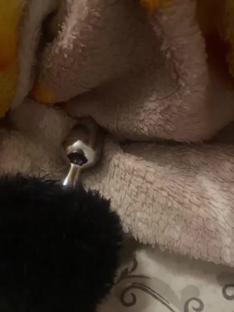 _POLUSLADKOE_ Cam Model Chat March 22, 2026