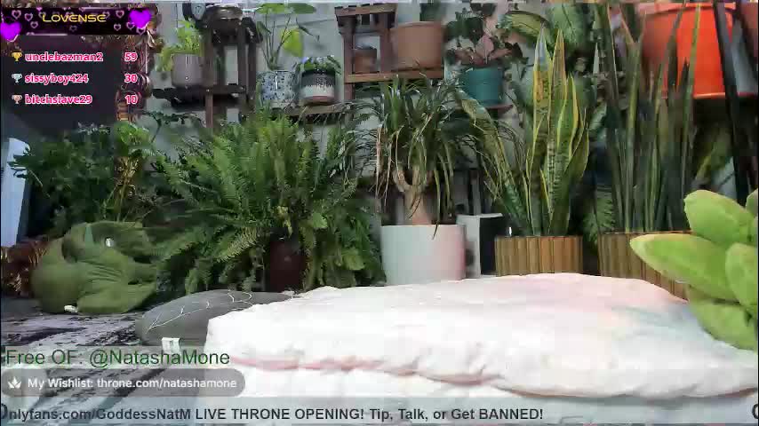 natashamone Cam Model Chat March 22, 2026