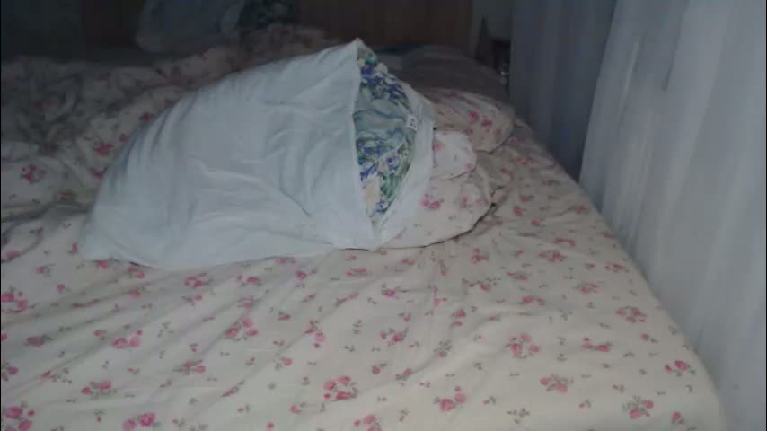 laurapreston Cam Model Chat March 23, 2026