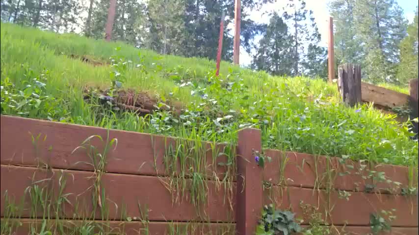 shy_college_girl Cam Model Chat March 23, 2026