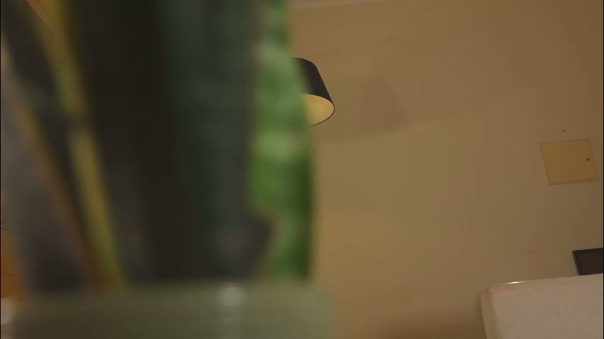 velvet_daydream Cam Model Chat March 23, 2026