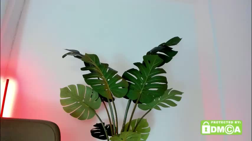 ashllovee_ Cam Model Chat March 23, 2026