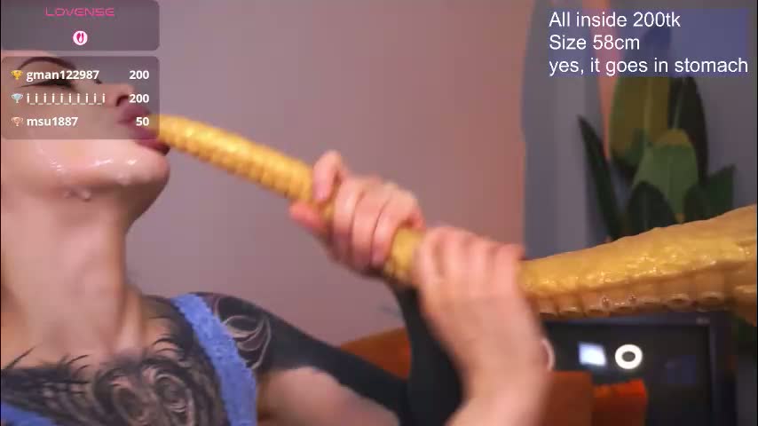 evarabbit Cam Model Chat March 24, 2026