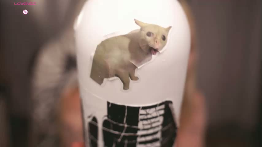 leiladwight Cam Model Chat March 24, 2026