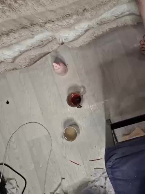 -scyrim- Cam Model Chat March 25, 2026