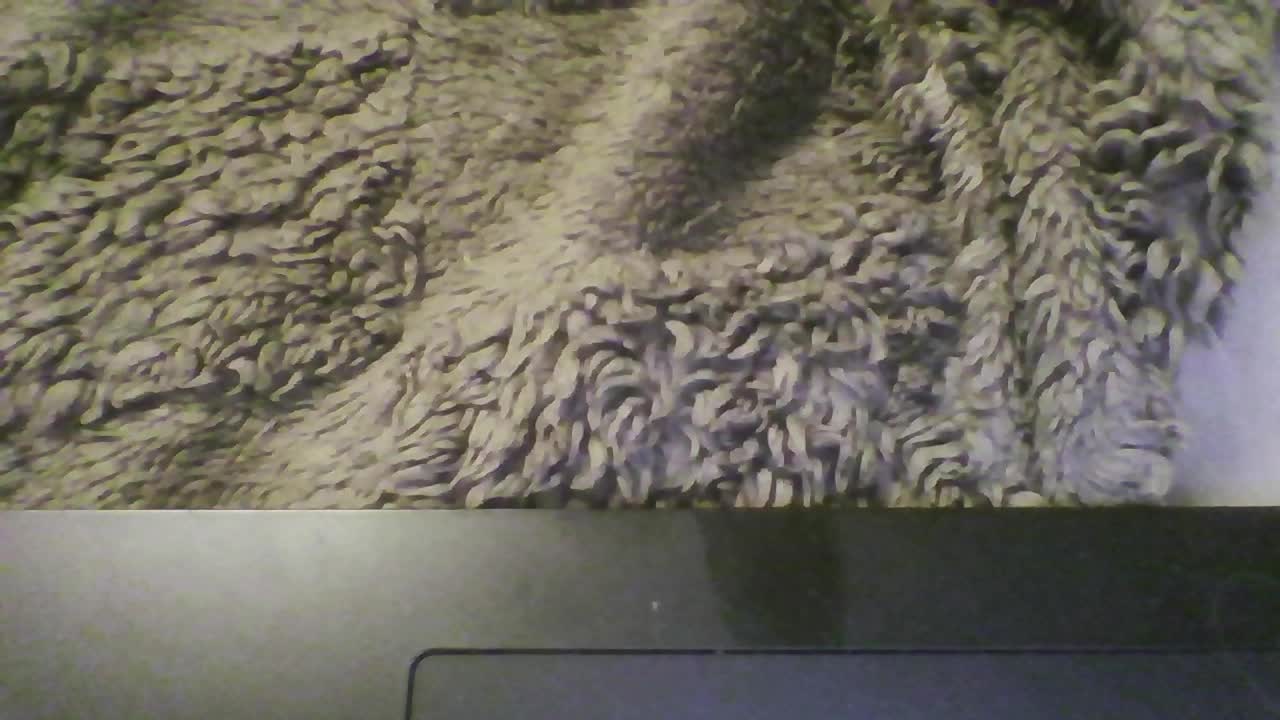 pararam124 Cam Model Chat March 25, 2026