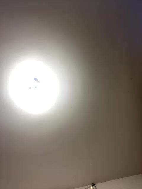 Oyster-lemon Cam Model Chat March 26, 2026