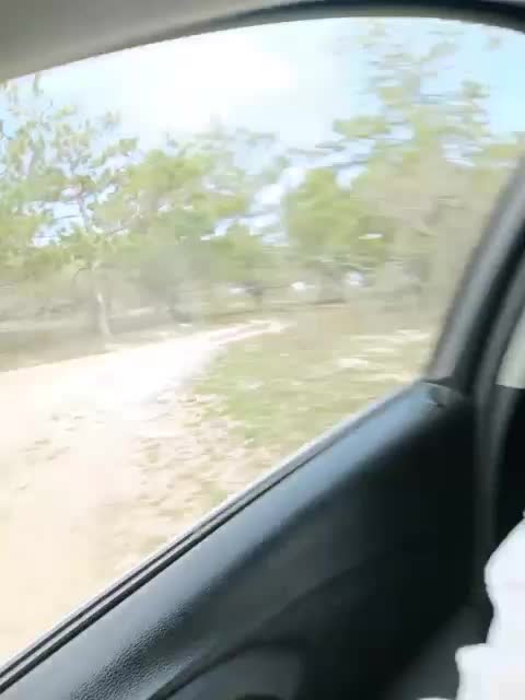 ___Pypsiki___ Cam Model Chat March 27, 2026