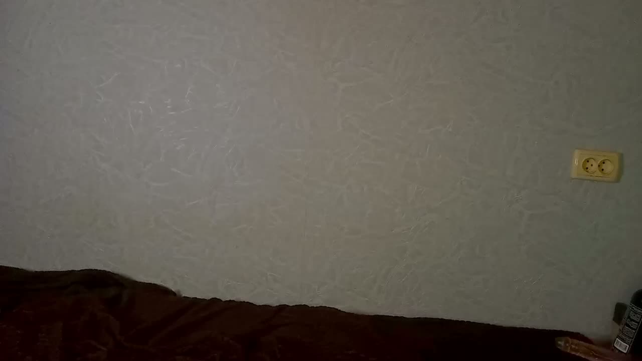 SweetPiggy13 Cam Model Chat March 29, 2026