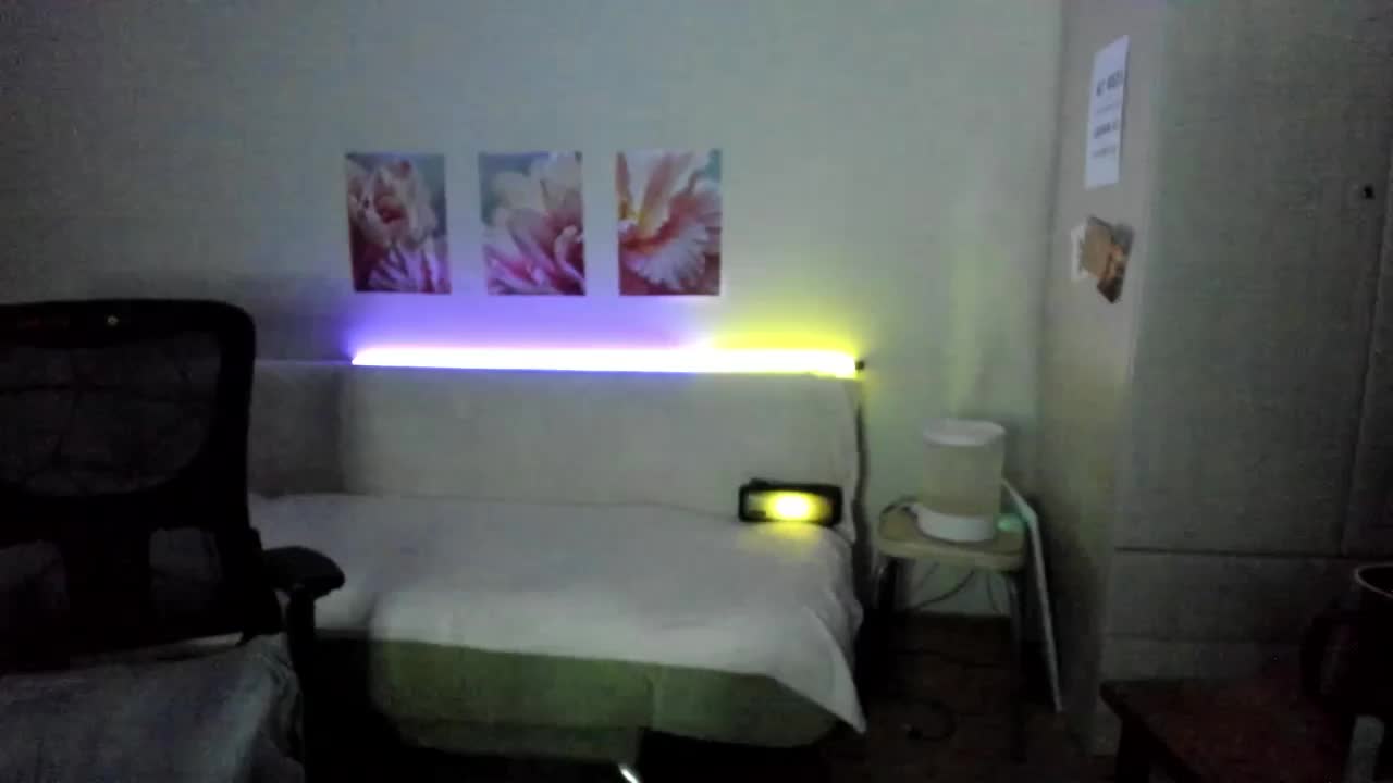 Lumina_V Cam Model Chat April 1, 2026