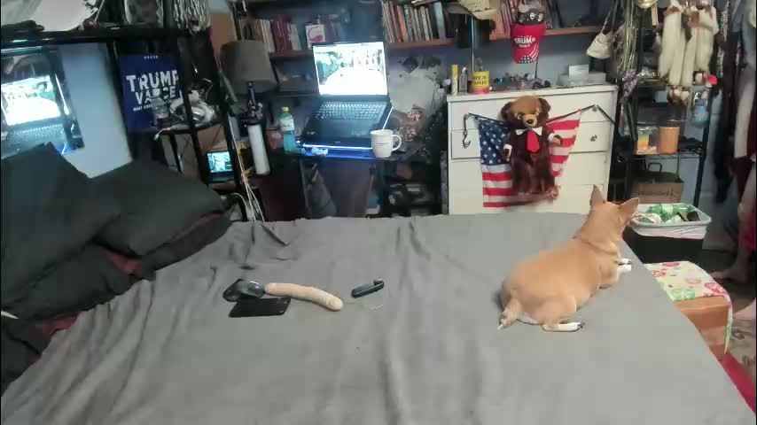 pink_black Cam Model Chat April 2, 2026