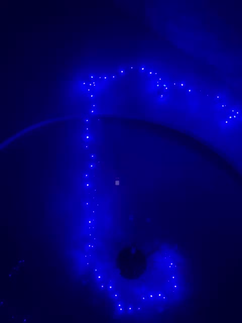 Sapiosexualka Cam Model Chat April 2, 2026