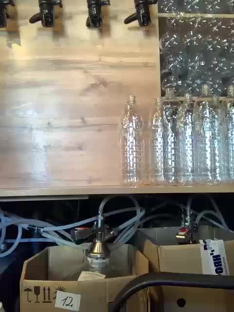 Yummypopka Cam Model Chat April 6, 2026