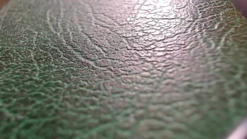 shyredstar Cam Model Chat April 6, 2026