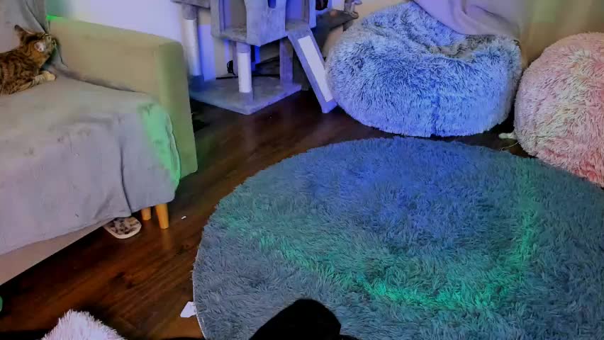 ladytrep Cam Model Chat April 10, 2026