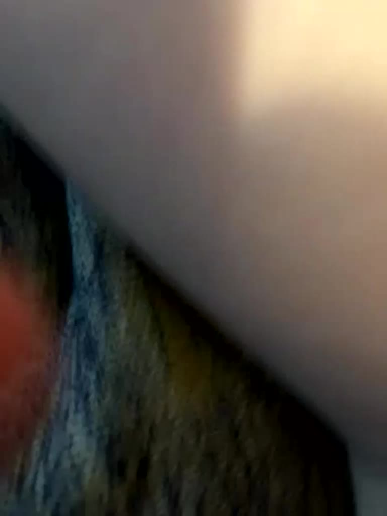 hotpars Cam Model Chat April 14, 2026