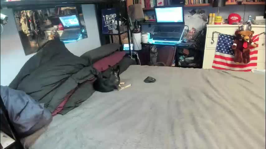 pink_black Cam Model Chat April 17, 2026