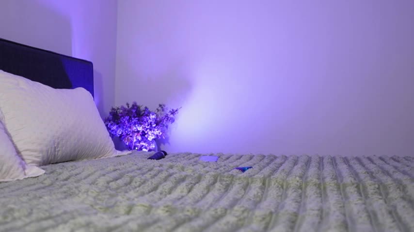 Miya_Nika Cam Model Chat April 17, 2026