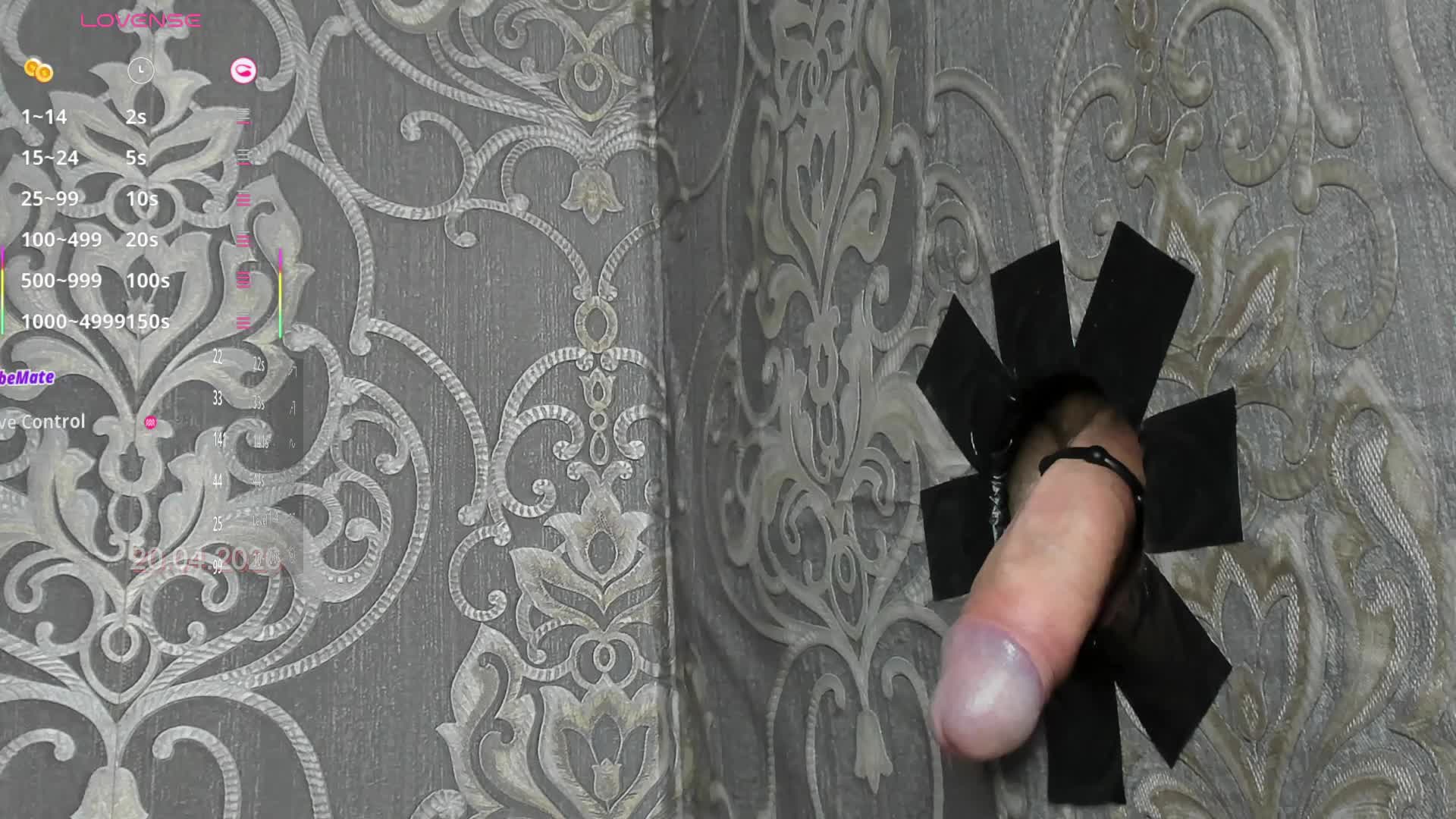 PetrovaAnn Cam Model Chat April 20, 2026